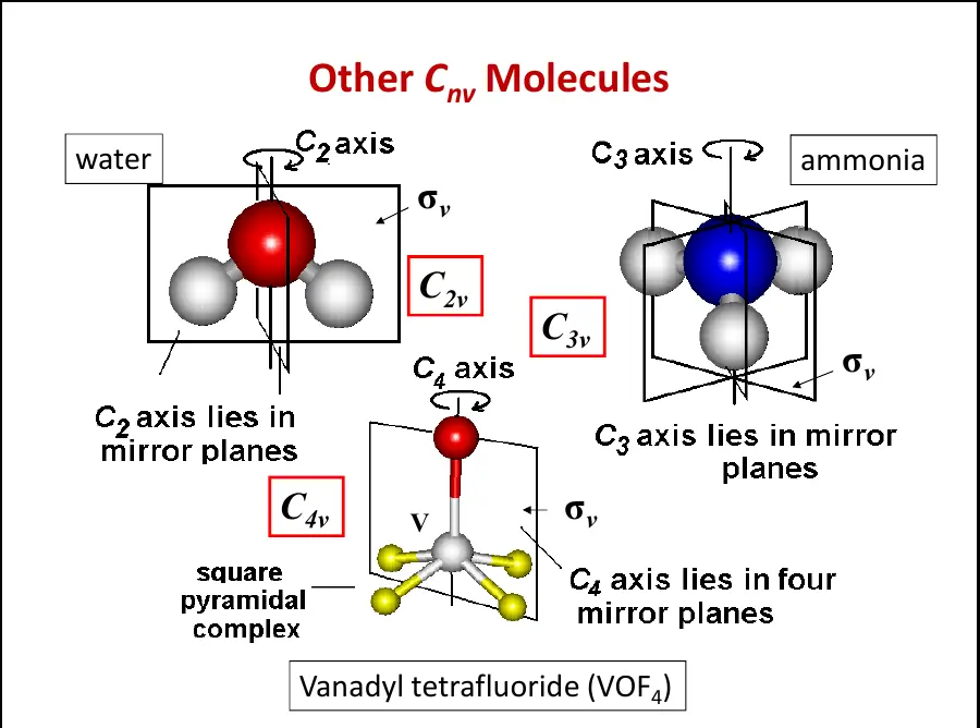 水、氨与四氟氧钒的 Cnv 点群示例